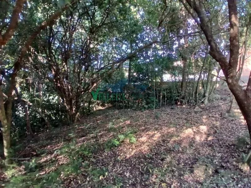 Velleda oferece lindo imóvel comercial no Espigão com 3.200m² e localização estratégica - Foto 7