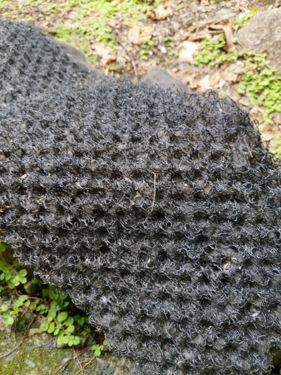 Manta base para telhado verde  - Foto 4