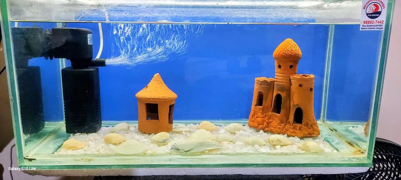 Vende-se aquario completo.