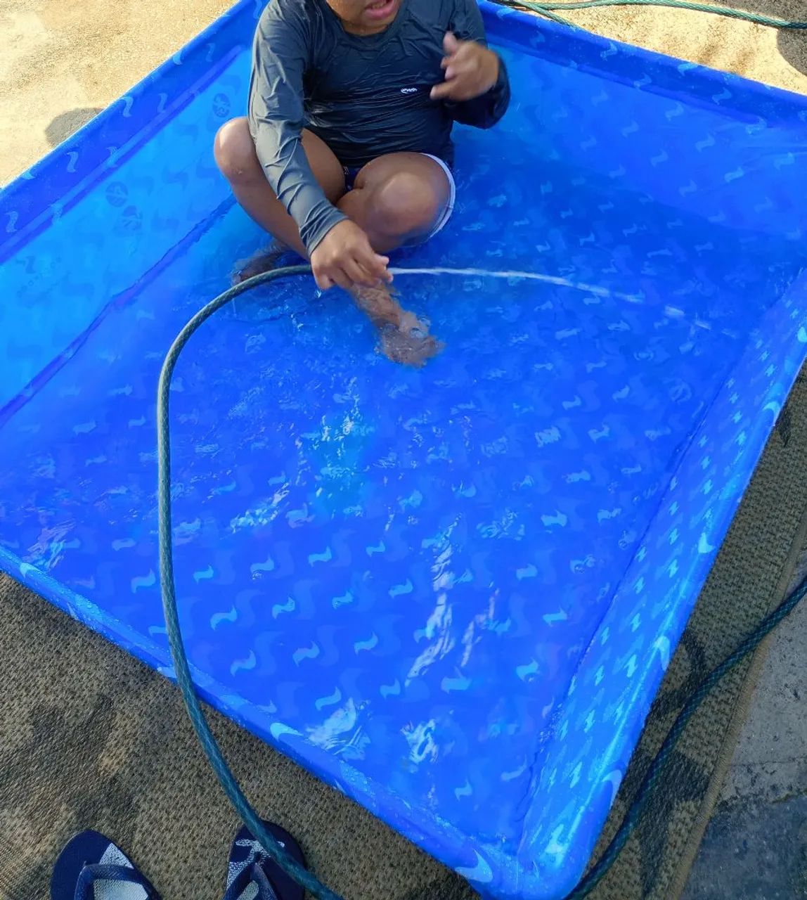 Piscina infantil 400 litros 