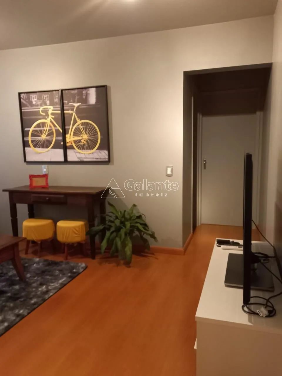 apartamento - Cambuí - Campinas - Foto 5