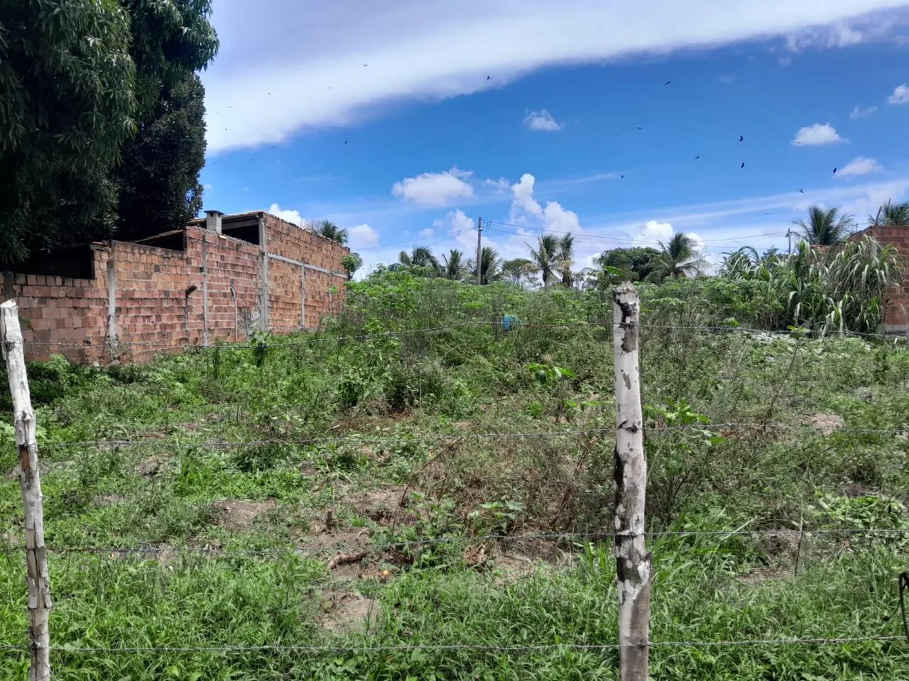 VENDE-SE TERRENO EM ITAPORANGA - Foto 3