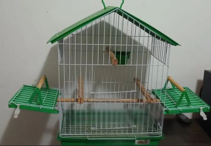 Gaiola - Foto 2