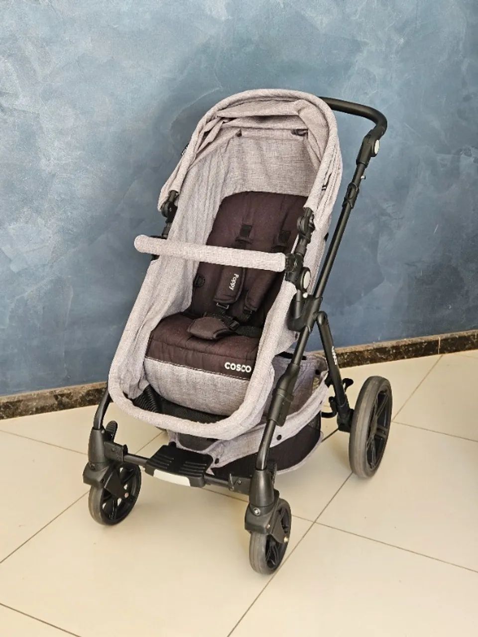 Carrinho de Bebê Moisés Cosco Poppy Duo
