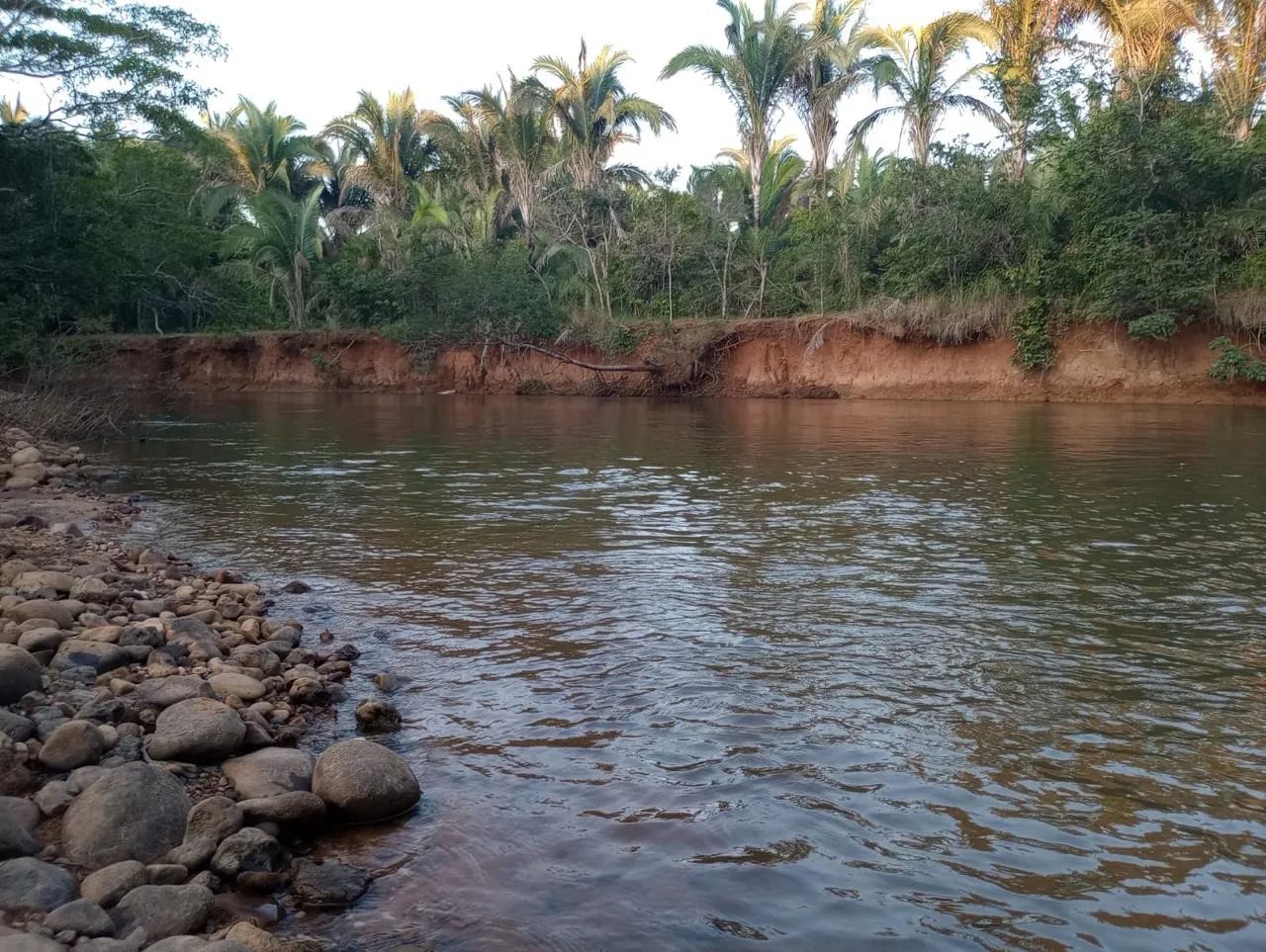 Vendo sítio 3,5 hectares em Chapada dos Guimarães  - Foto 5