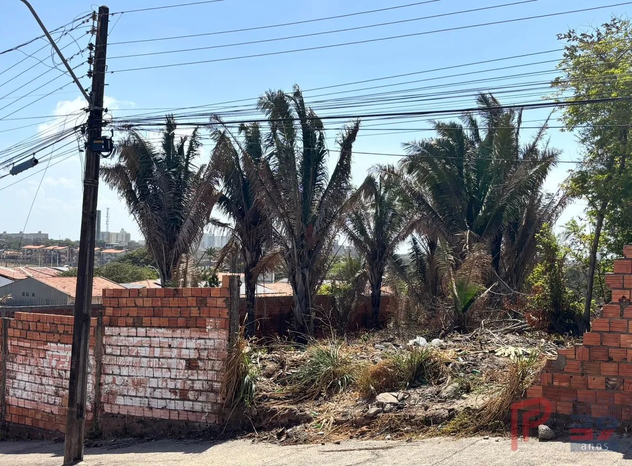 Terreno locação Olho D'Agua
