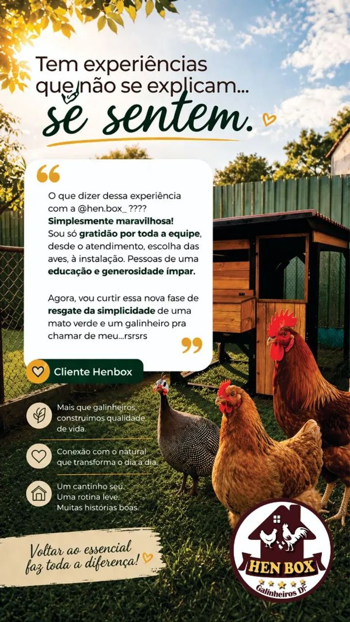 Galinheiros Ecológicos Smart - Foto 6