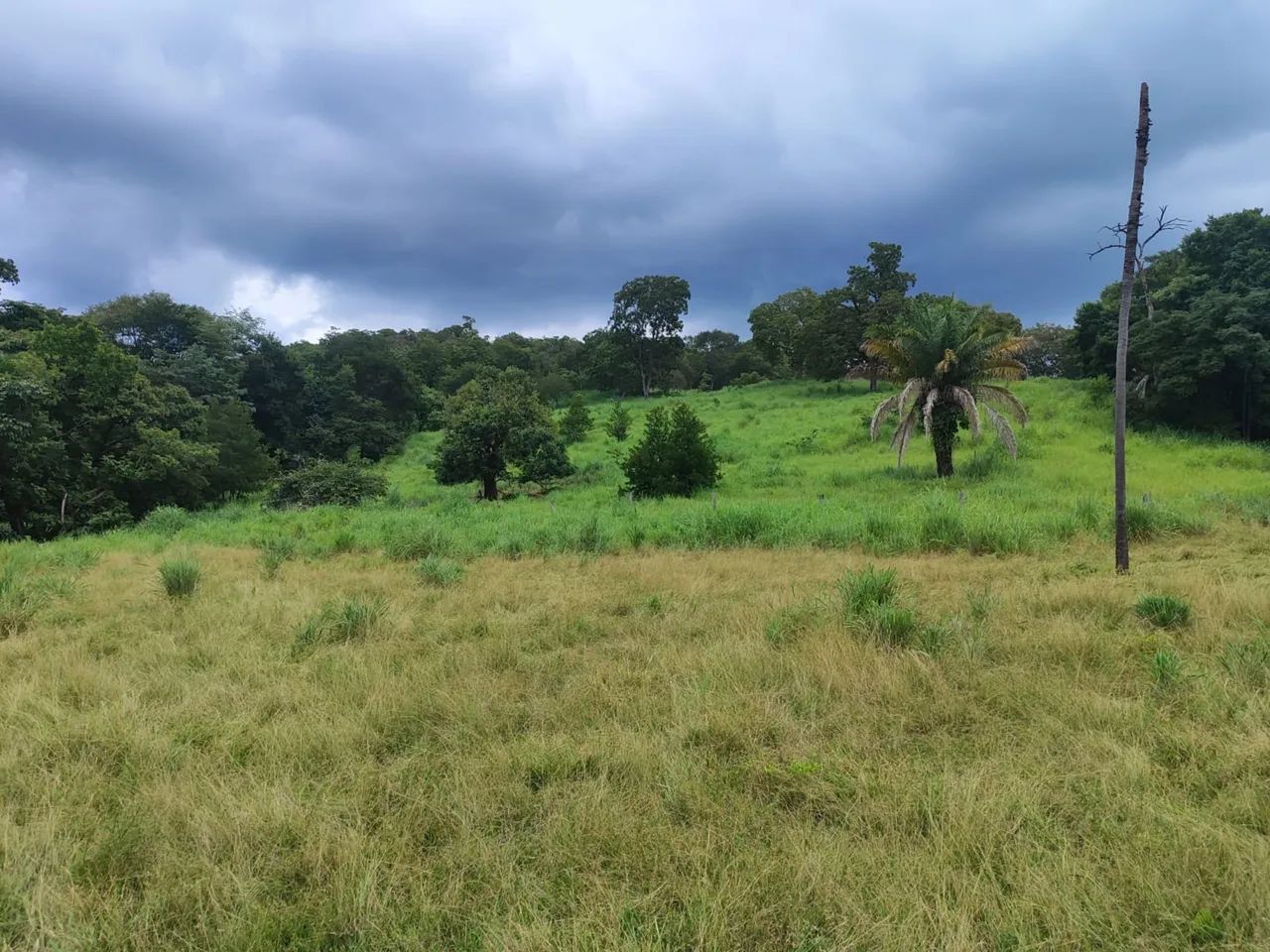 Fazenda Serra da Pimenta - Foto 3
