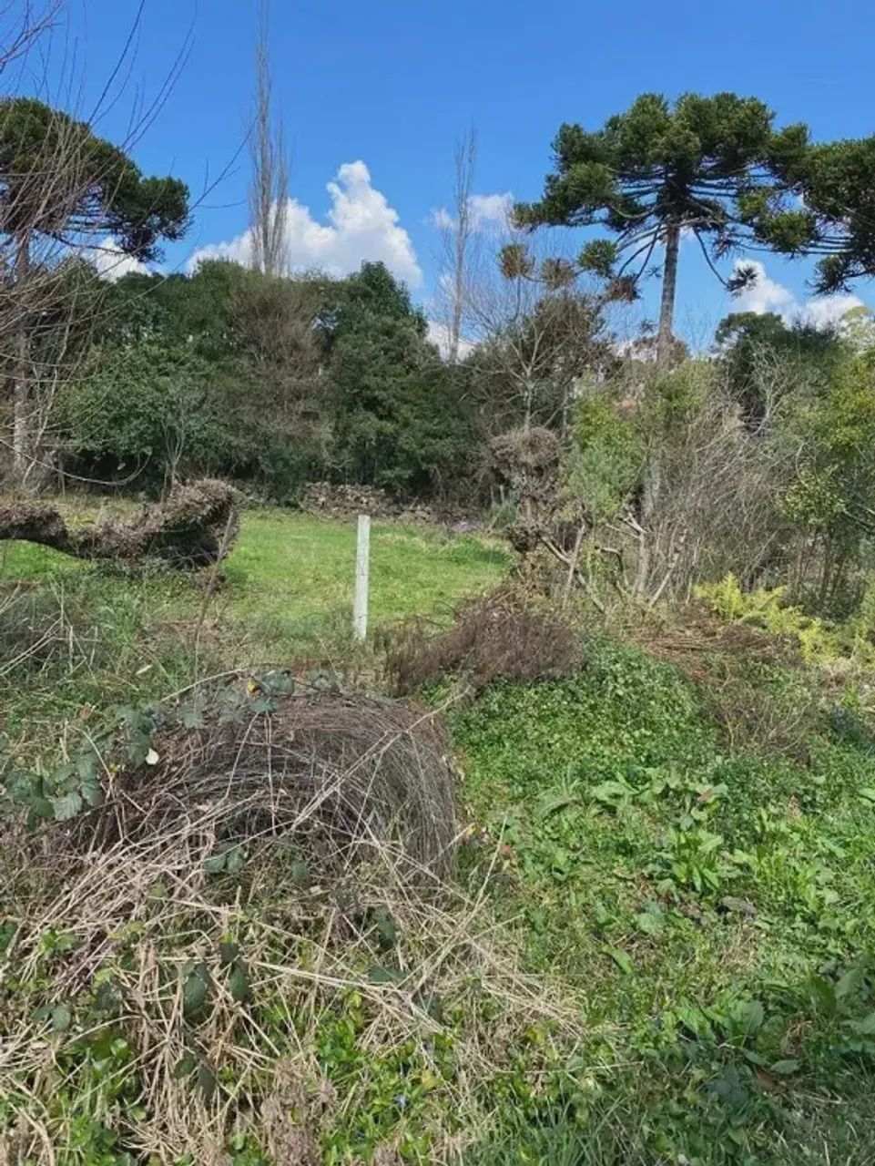 LOTE EM URUPEMA À VENDA - Foto 2