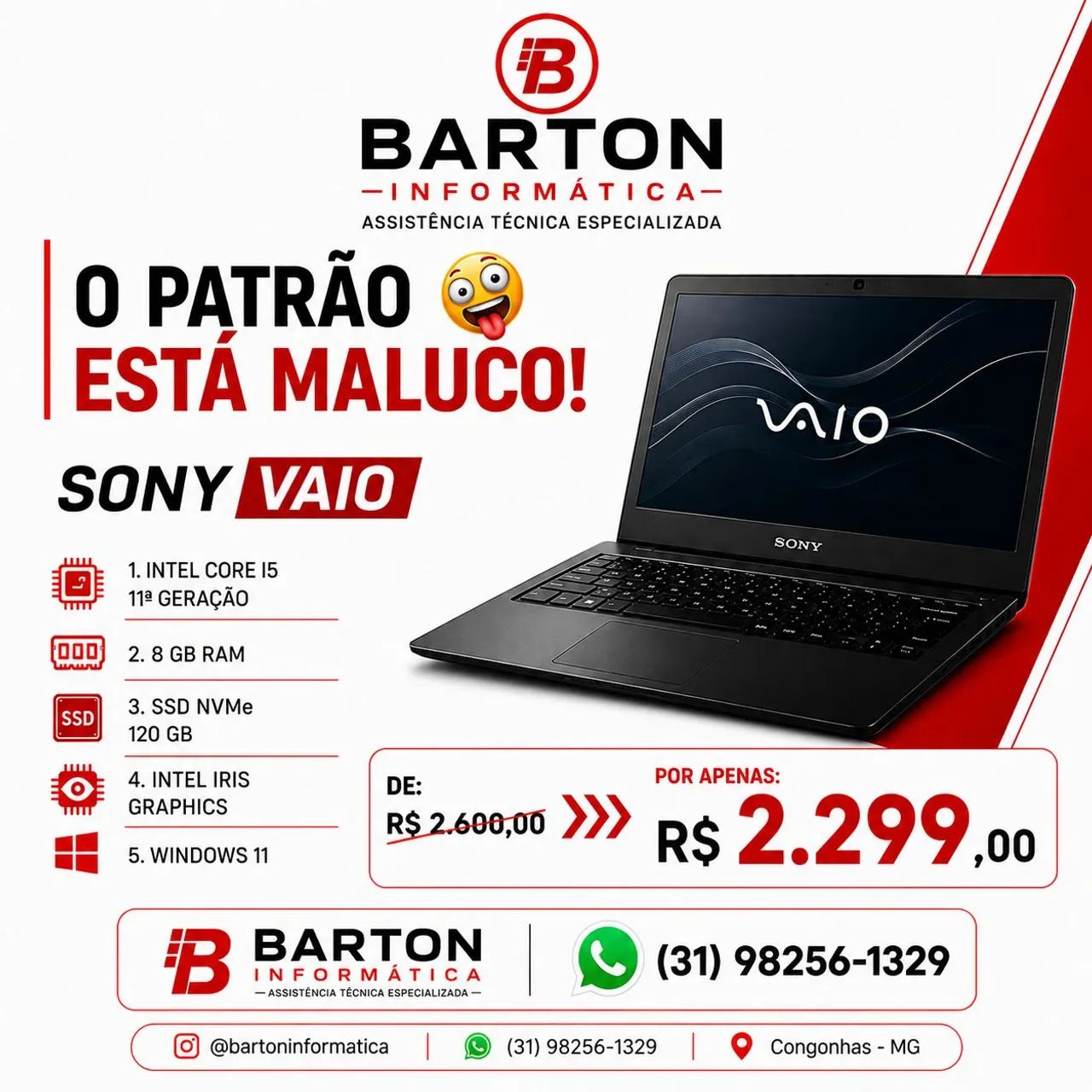 Notebook Sony Vaio