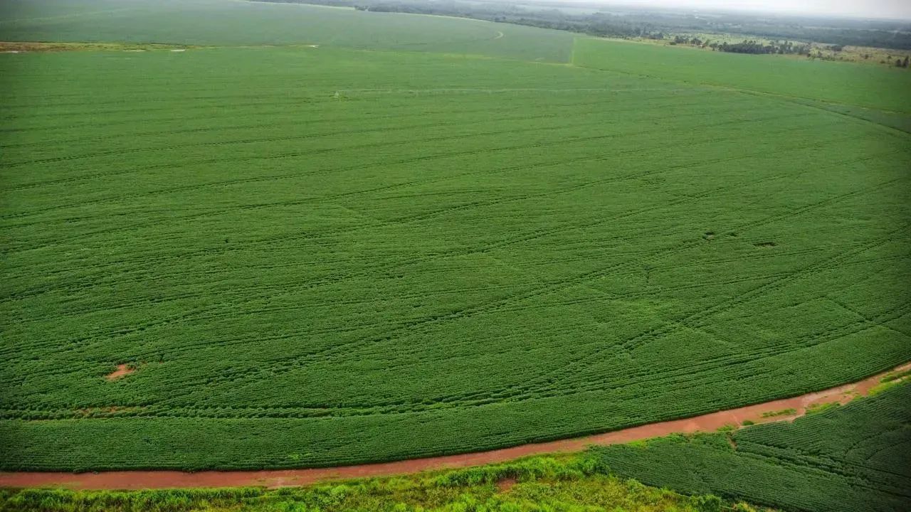 Fazenda a venda, em Silvanópolis - Tocantins - Foto 4