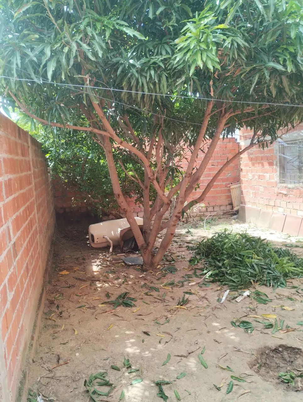 Casa na Taboca  - Foto 3