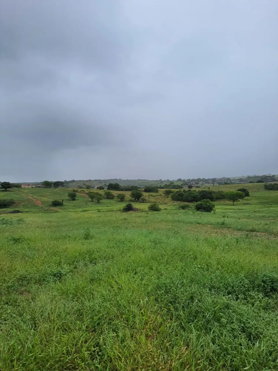 Fazenda com 550 hectares em Ielmo Marinho