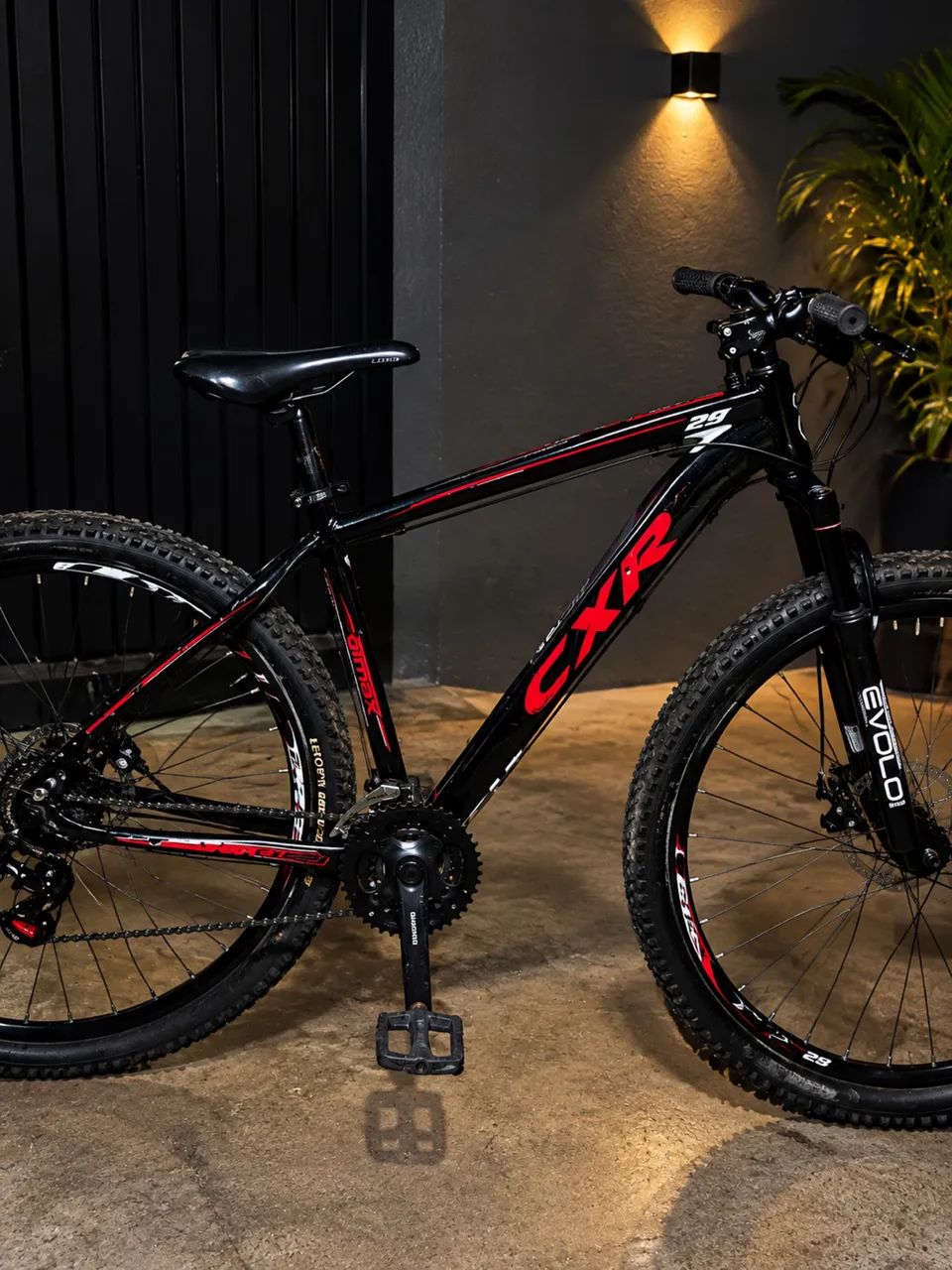 Bicicleta 