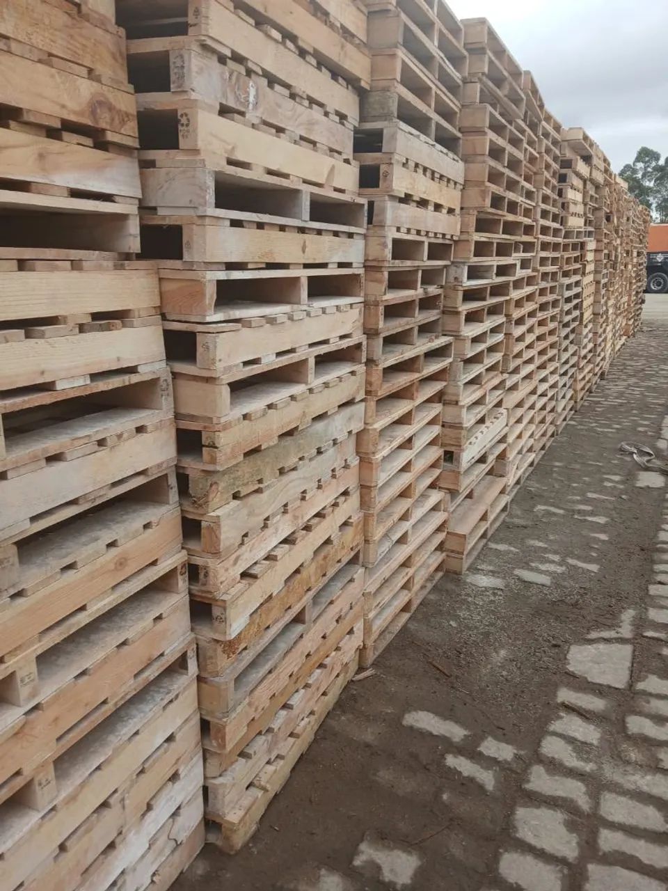 Palete tratado para exportação  - Foto 4