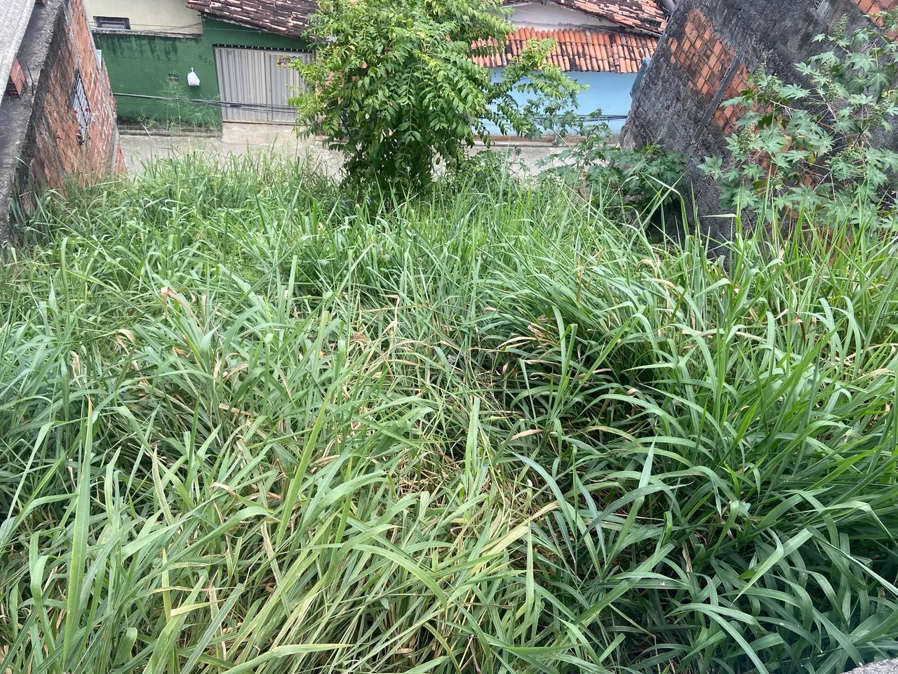 Vende-se barreira - Foto 2