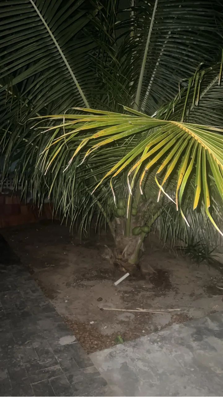 Vendo terreno em Arembepe