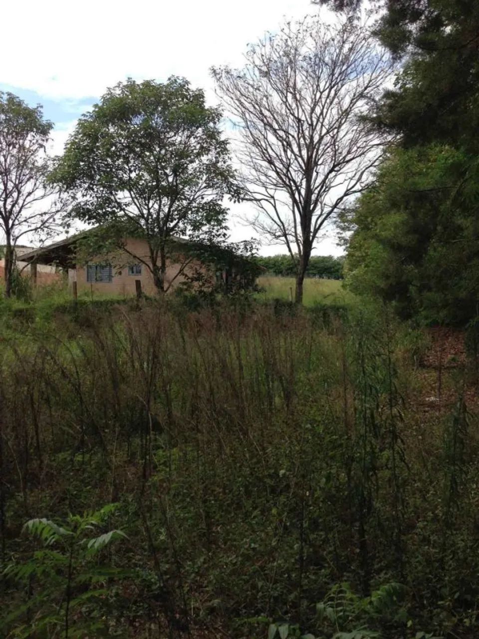 Chácara para venda com 7900 m² em Centro, Piratininga - SP - Foto 3