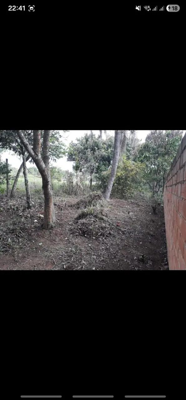 Chácara em formação VENDA OU TROCA - Foto 2