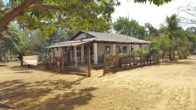 Fazenda com 355 ha na saída para Paraíso - Foto 2