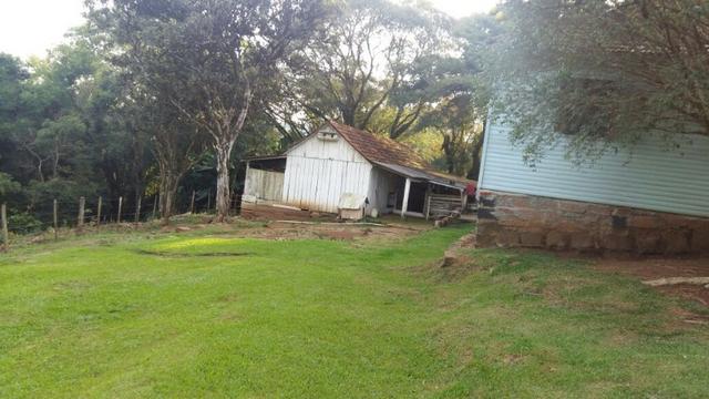 Lindo Sítio na Serra Gaúcha!! - Foto 3