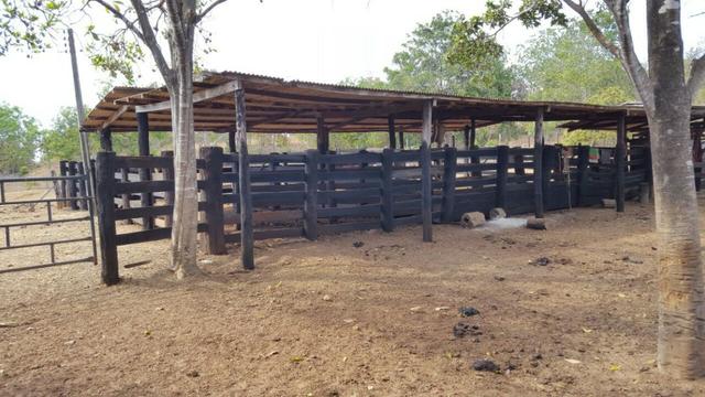Fazenda com 355 ha na saída para Paraíso - Foto 5