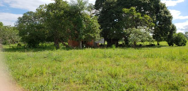 Chácara 30 ha - R$ 430.000,00 - Foto 7