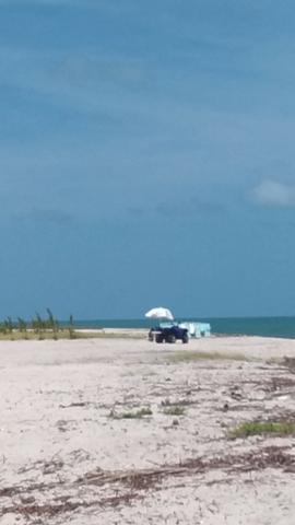 Vende-se excelente terreno em Barra de Catuama , a 200m da praia - Foto 12