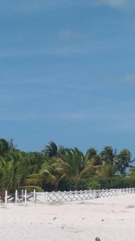 Vende-se excelente terreno em Barra de Catuama , a 200m da praia - Foto 13