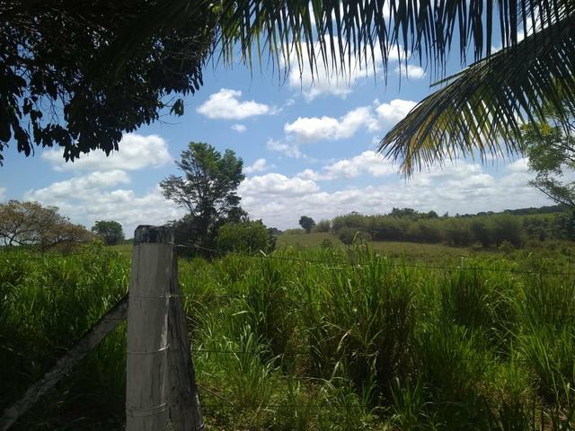 Sítio em apeú - Foto 11