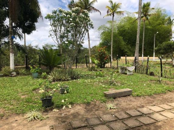 Fazenda para venda em carpina, são josé - Foto 13