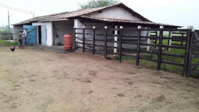 Fazenda para venda em feira nova, feira nova - Foto 10