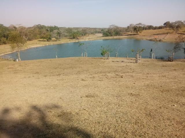 Fazenda há 10 km na MT 010 Estrada da Guia - Foto 7