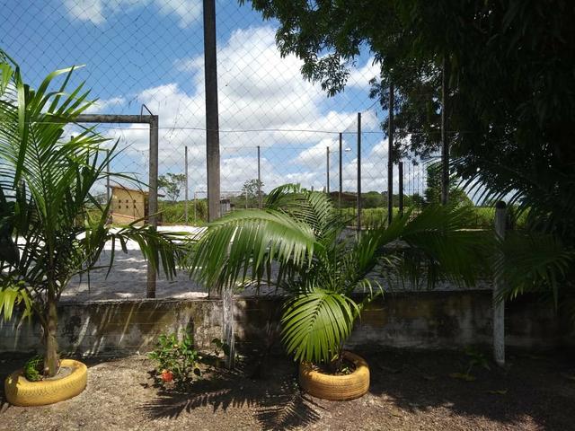 Sítio em apeú - Foto 6