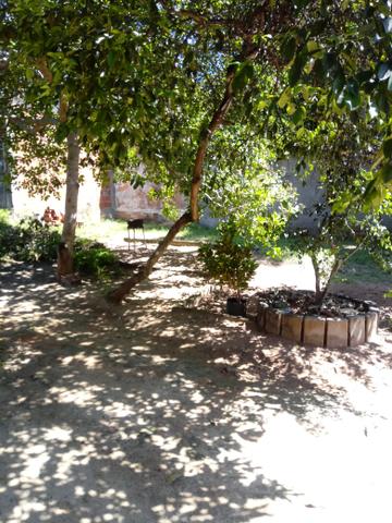 Terreno - Foto 11
