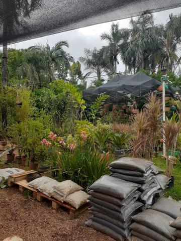 Vendo floricultura montada zap *