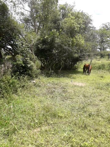 Terreno a venda em sapucaia rs - Foto 4