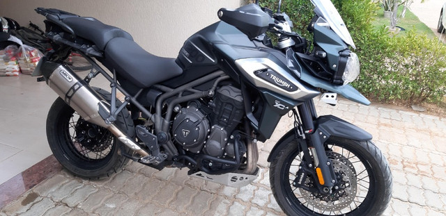 olx triumph tiger