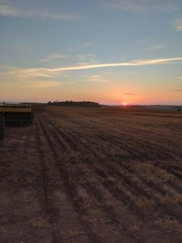 Fazenda  de 662 Alqueires ou seja 3.204 ha município de Darcinopolis - Foto 3