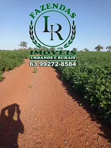Fazenda 102 Alqueires Agricultura e Pecuária no Tocantis