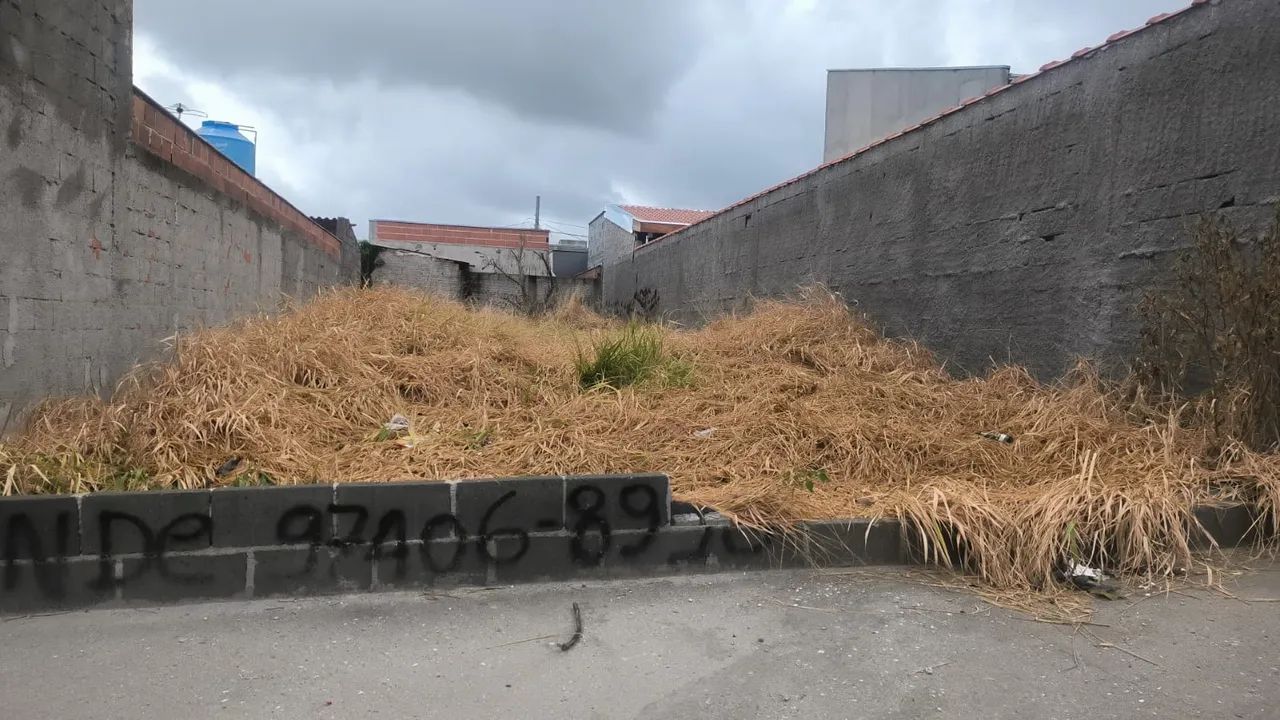 foto - São José dos Campos - Bosque dos Eucaliptos