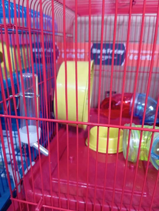 Gaiola grande para seu hamster / roedor * fazemos entrega ! - Foto 6