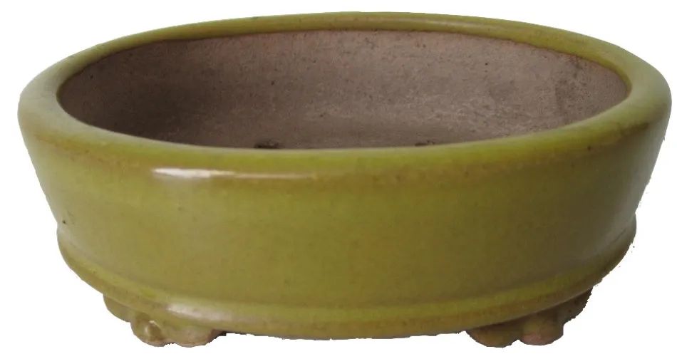 Vaso Bonsai 