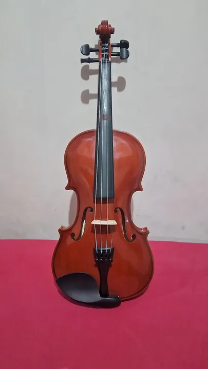 Violino 4/4 Vivace Mo44 Seminovo - Completo com Acessórios