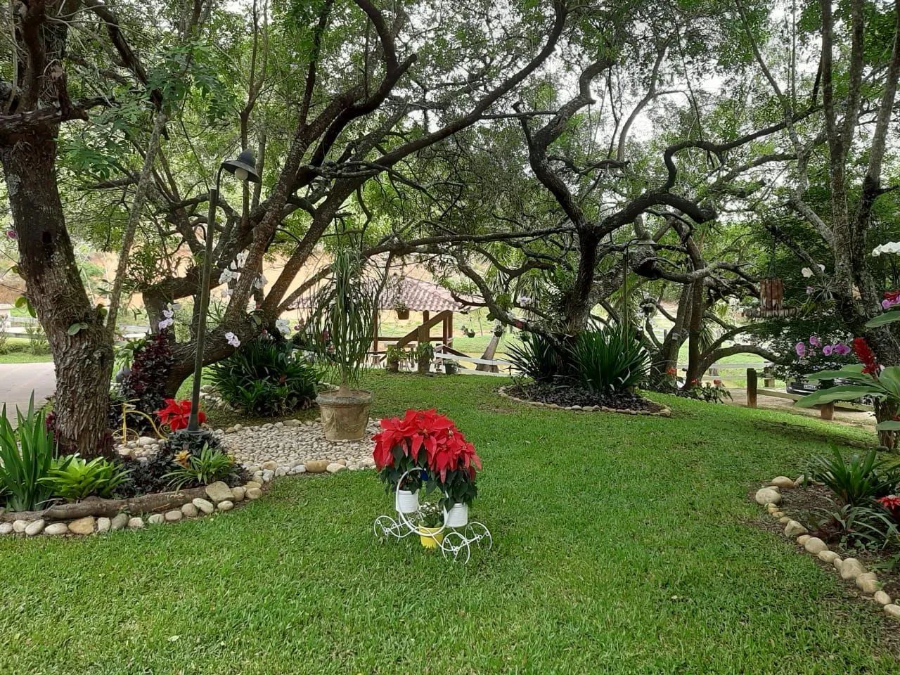 SÍTIO ESPETACULAR, muito verde, pássaros e ar puro - Foto 8