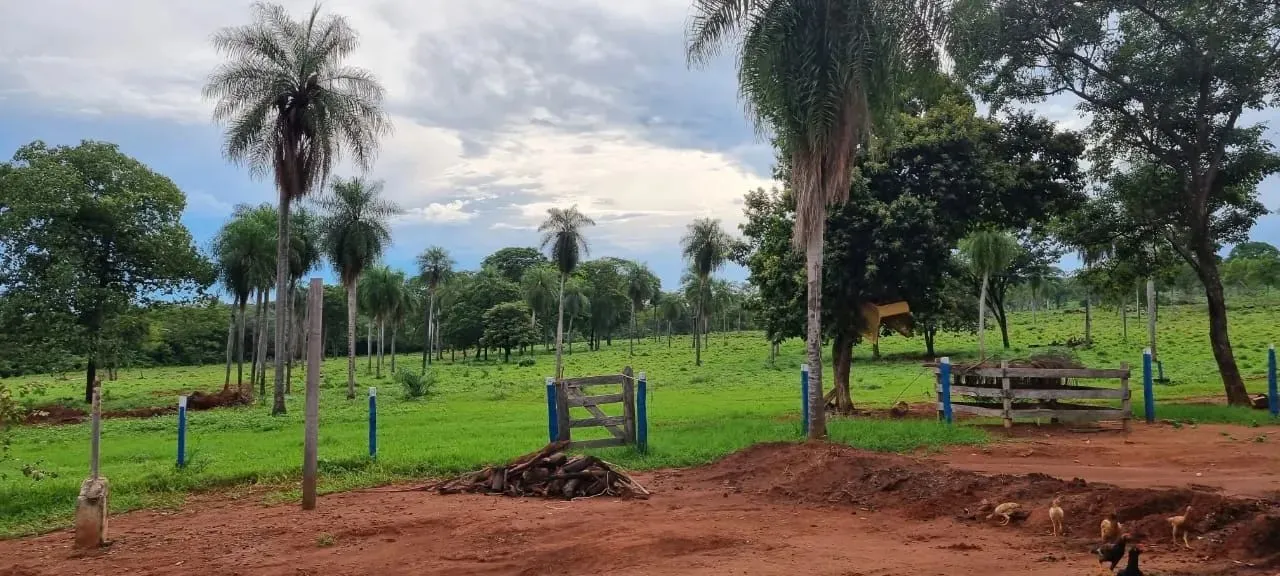 COD283- FAZENDA 718Hectares CORUMBÁ/MS