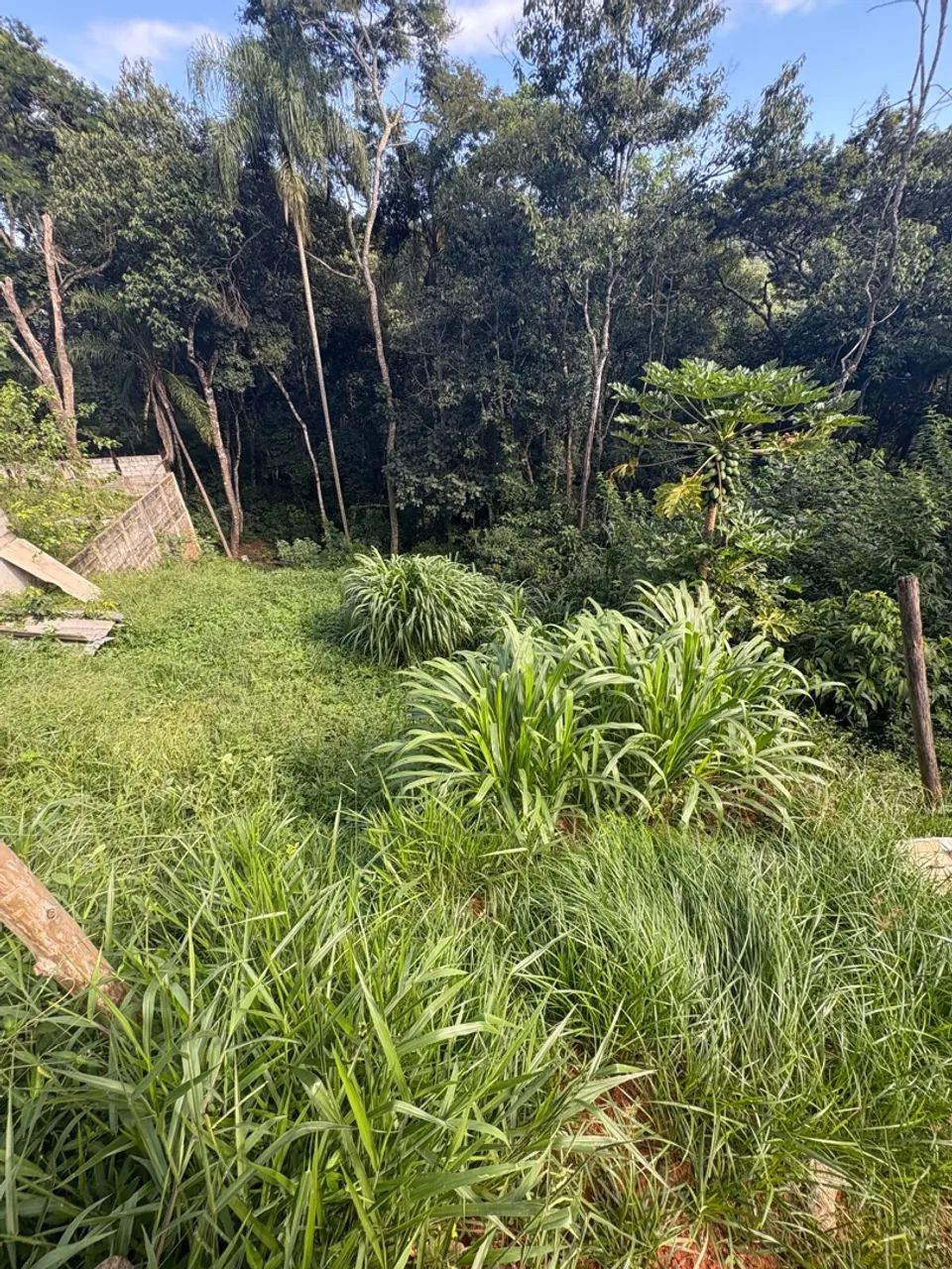 Terreno em Mairiporã! Próximo ao restaurante Dib. Sezefredo Fagundes !  - Foto 2