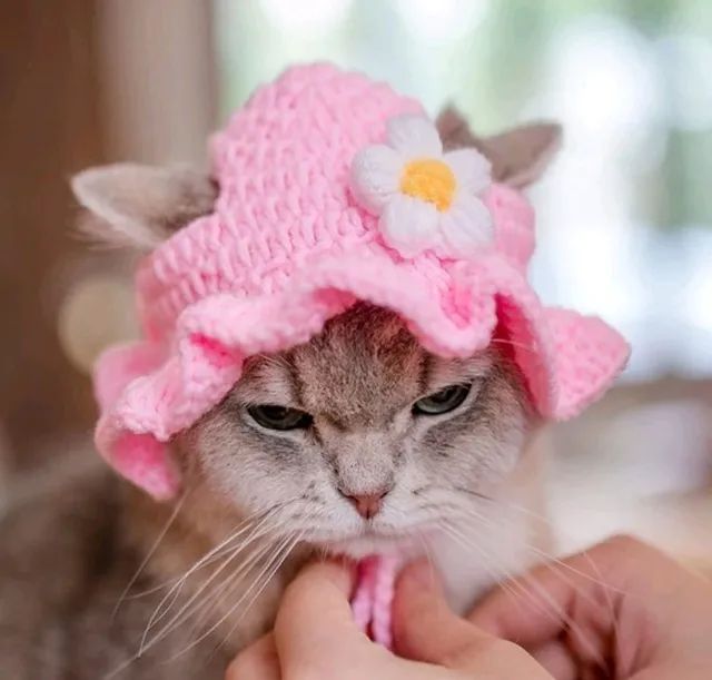 Chapéu de Crochê para seu Pet