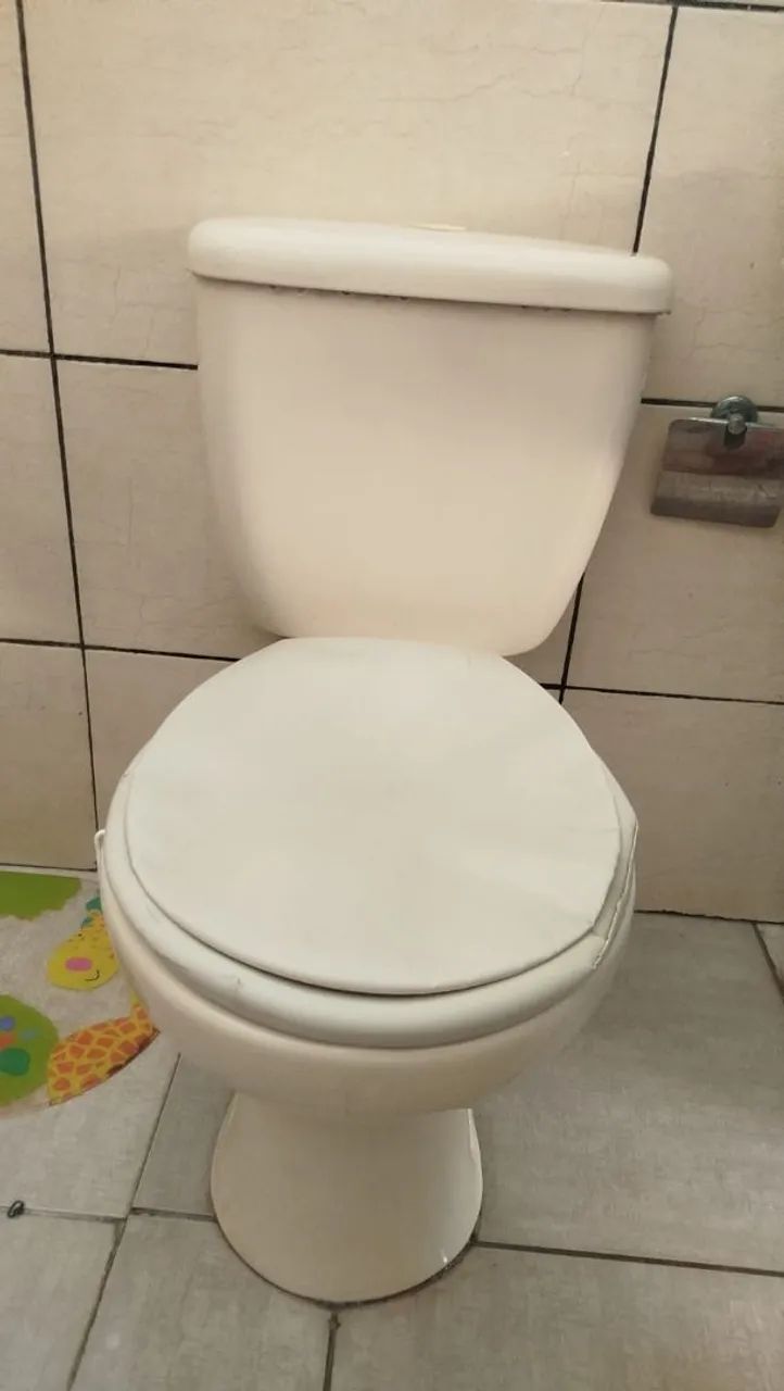 Toilet with Integrated Cistern64706407896322122