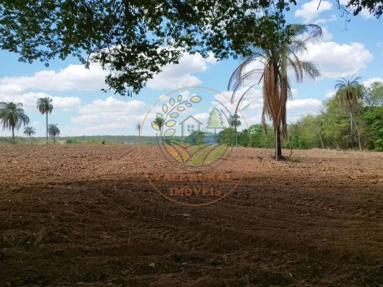 EXCELENTE FAZENDA de 720 HECTARES EM SÃO GONÇALO DE ABAETÉ- MG FA00171 - Foto 3